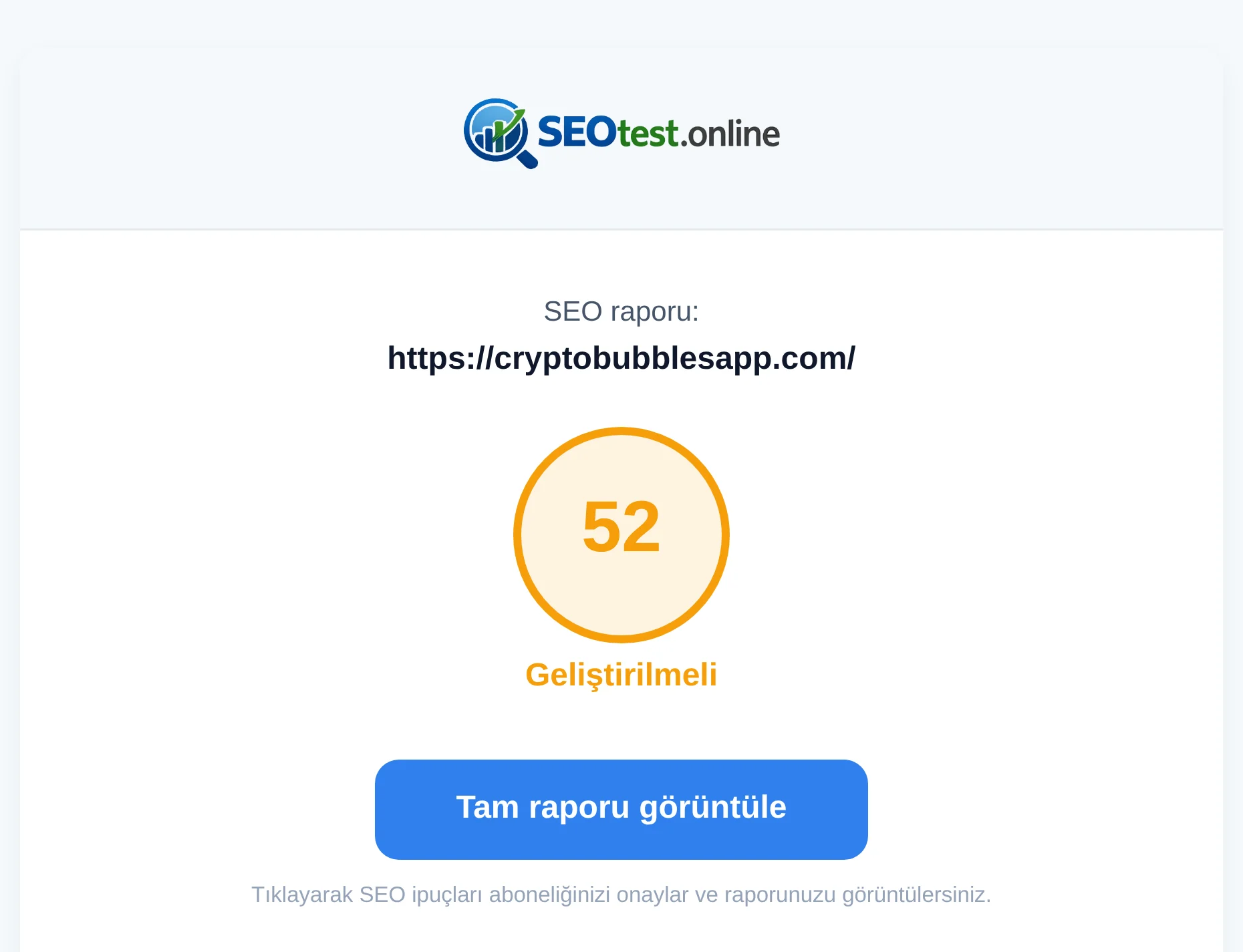 Hazır SEO raporunun bağlantısını, test edilen sitenin adresini ve genel puanı içeren e-posta